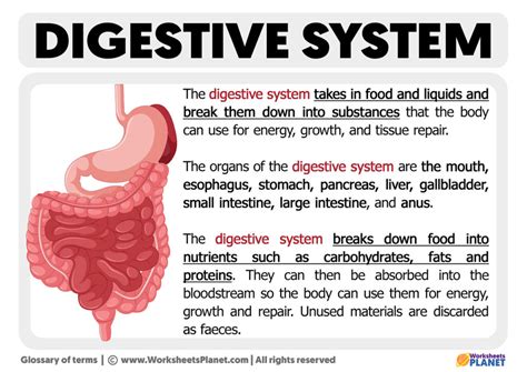 digestible meaning.